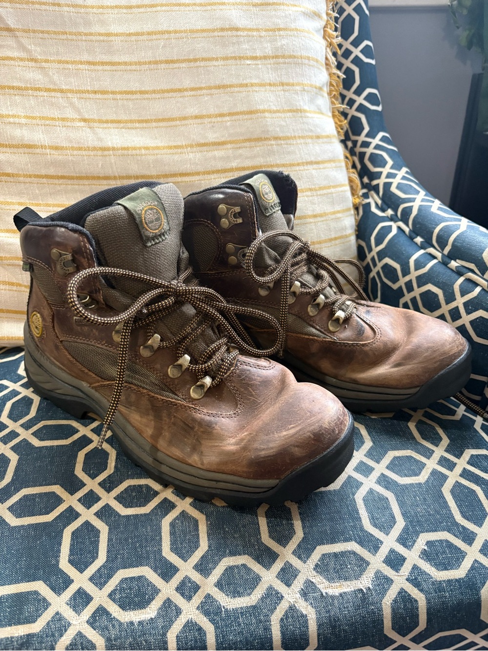 TIMBERLAND TREE Men's Chocorua Waterproof Hiker Boot